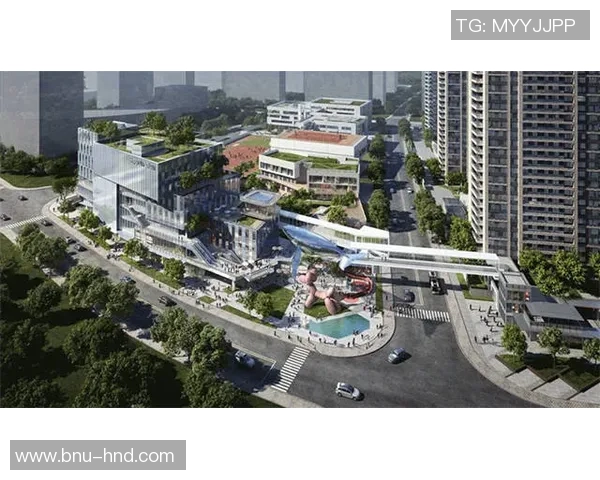 足球球星卡12收藏价值与竞技魅力深度解析